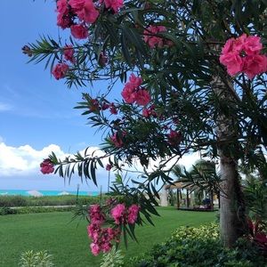 Meet your Posher, Charlie